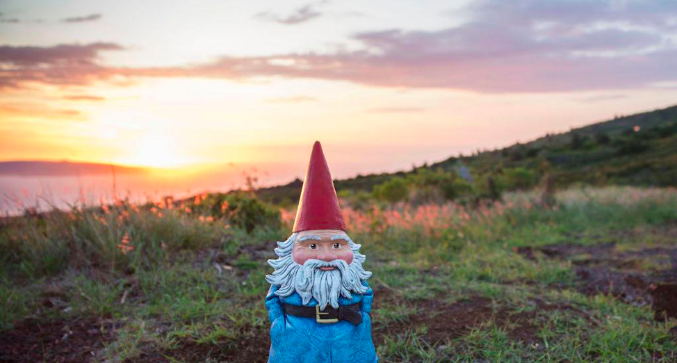 Roaming Gnome