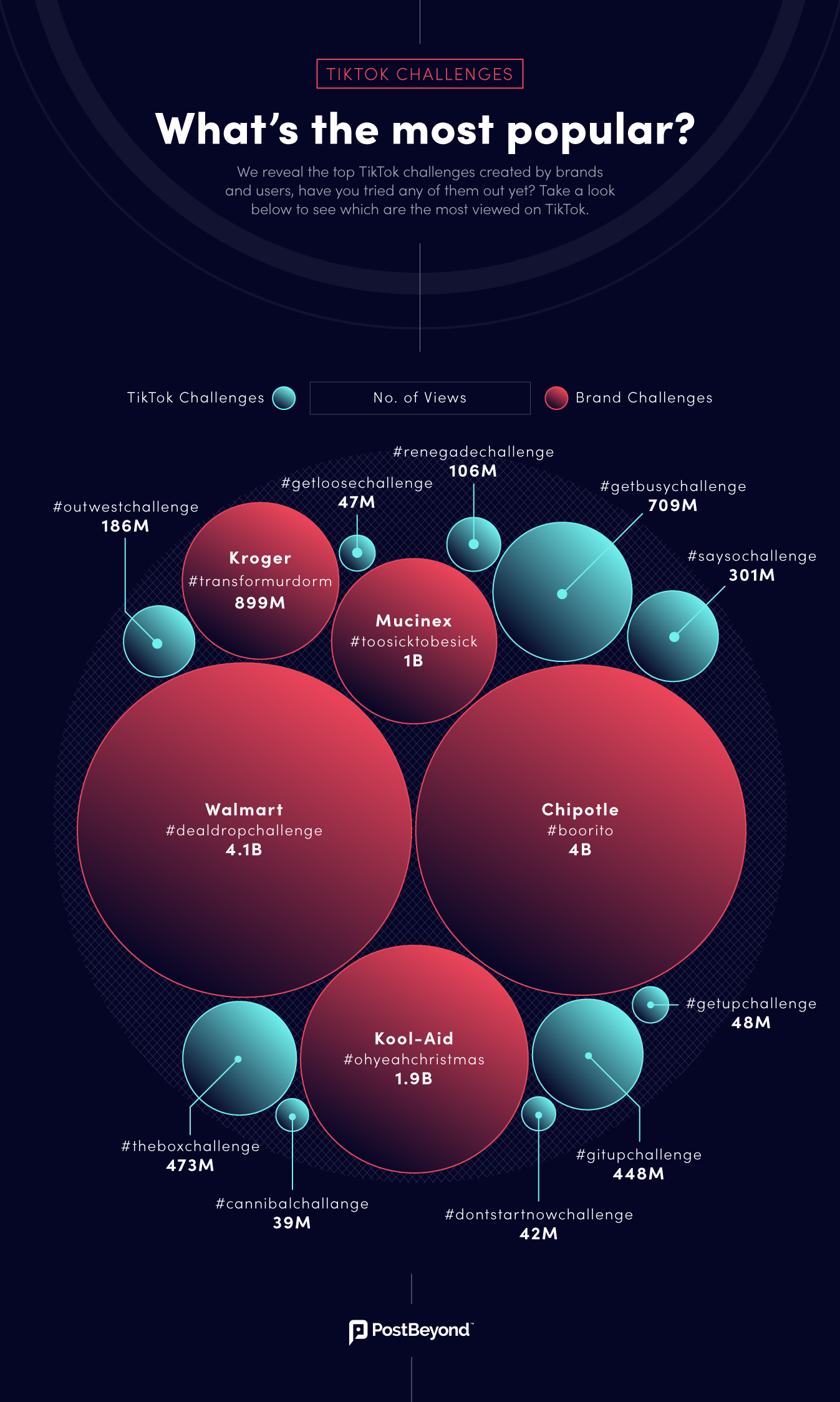 TikTok popular influencers